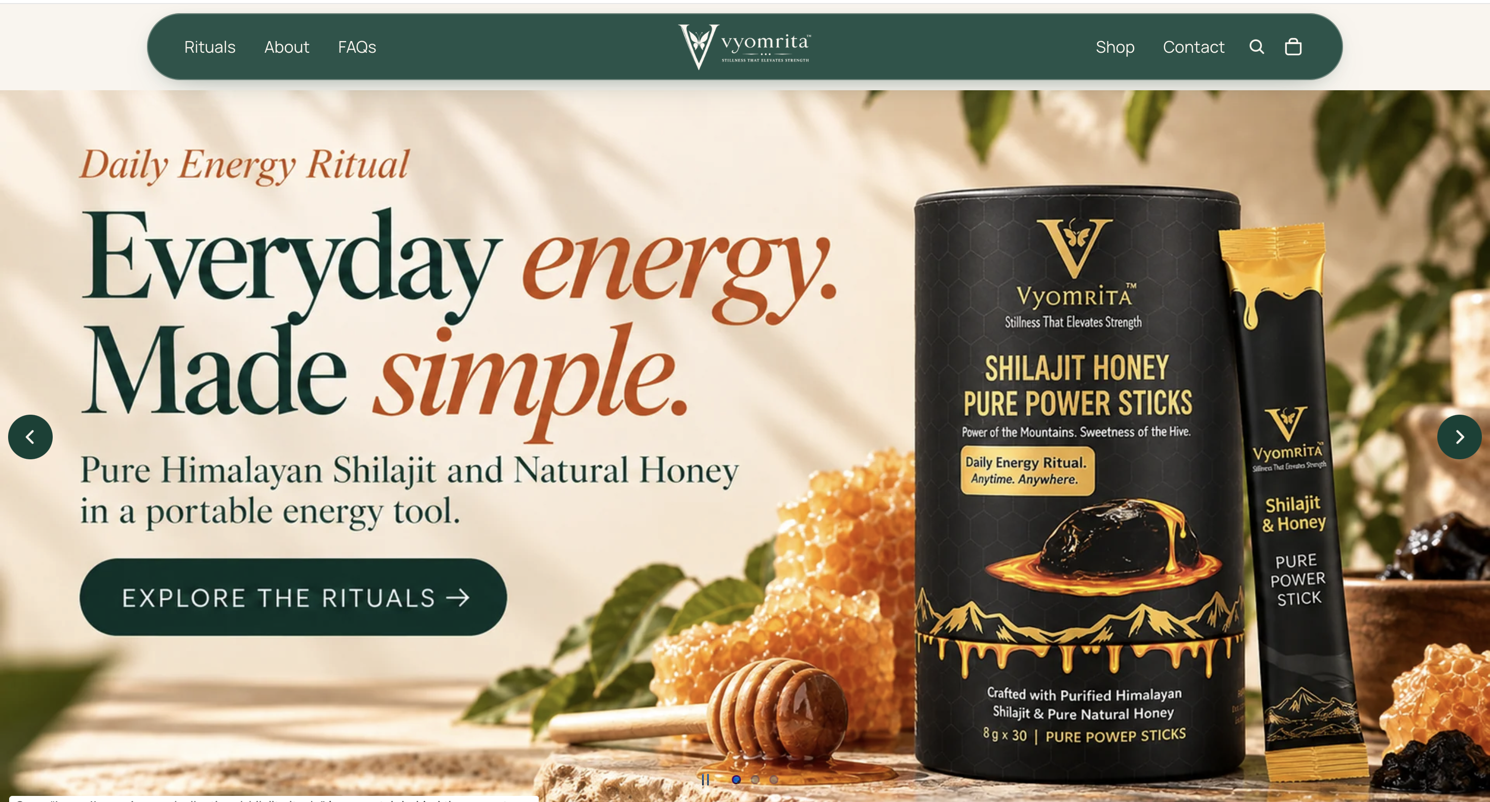 Vyomrita (Herbal & Ayurvedic Division, LSF Medical) — project banner