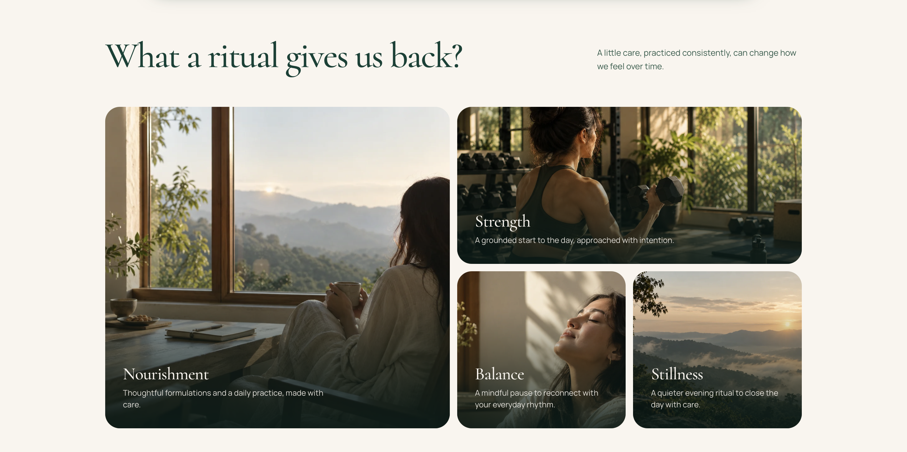Vyomrita (Herbal & Ayurvedic Division, LSF Medical) — project image 2